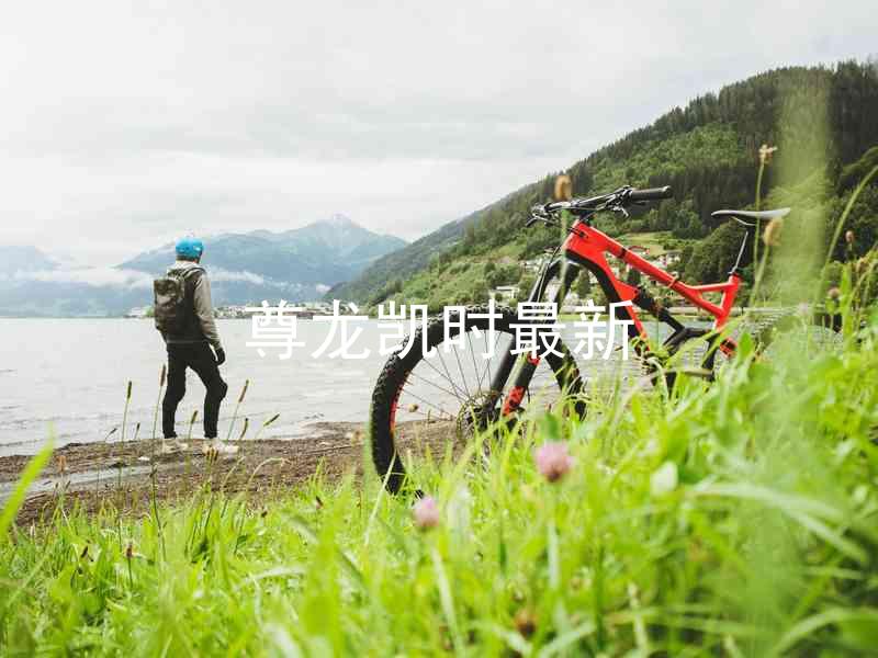 尊龙凯时最新
